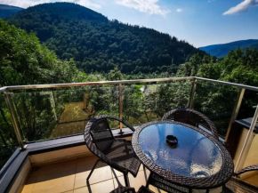 Orchid Luxury Apartment Sinaia Sinaia